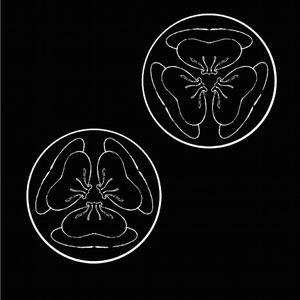 亚洲第一区视频在线观看
