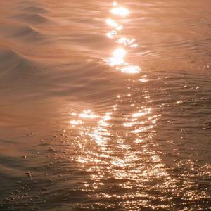 亚洲第一区视频在线观看
